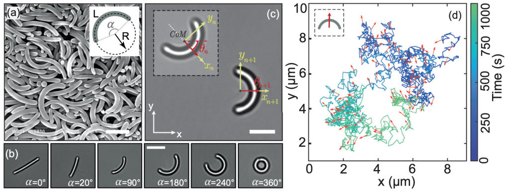 Image showing the two-dimensional diffusion of Colloidal bananas with different opening angle
